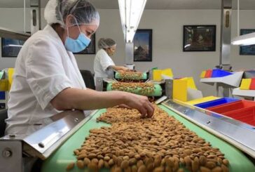 California drought takes toll on world's top almond producer