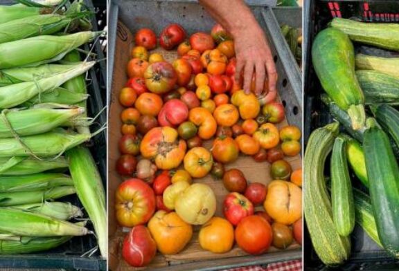 Corn, Zucchini, Tomatoes: Making the most of summer's bounty