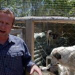 UK Man Who Put ‘Pets Before People’ in Kabul Airlift Apologises for Abuse to Officials
