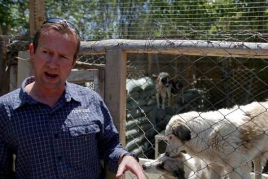 UK Man Who Put 'Pets Before People' in Kabul Airlift Apologises for Abuse to Officials
