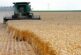 Big-Money Investors Like Bill Gates, Jeff Bezos, Show Growing Appetite for 'Safe Asset': US Farmland