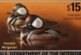Hunting theme no longer mandatory in US duck stamp contest