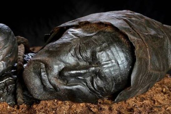 Mummy's Last Supper: Famous Iron Age Tollund Man Had Primitive Porridge for Meal, Research Reveals