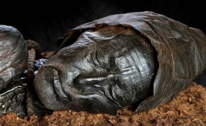 Mummy's Last Supper: Famous Iron Age Tollund Man Had Primitive Porridge for Meal, Research Reveals